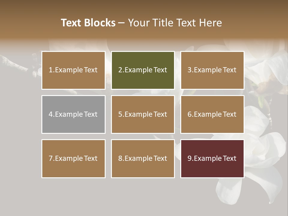 Closeup Photography Backgrounds PowerPoint Template