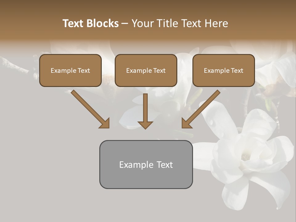 Closeup Photography Backgrounds PowerPoint Template