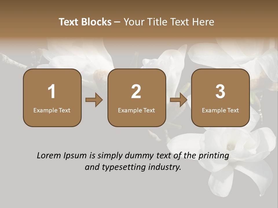 Closeup Photography Backgrounds PowerPoint Template