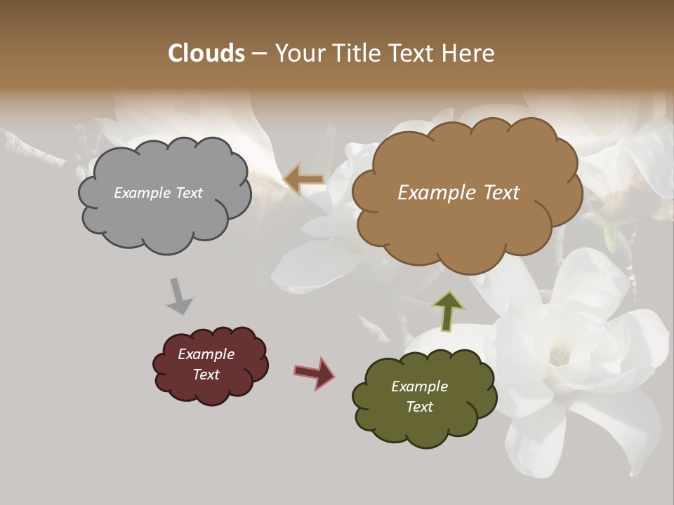 Closeup Photography Backgrounds PowerPoint Template