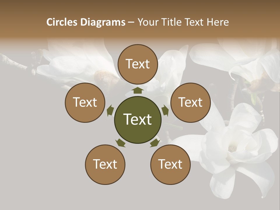 Closeup Photography Backgrounds PowerPoint Template