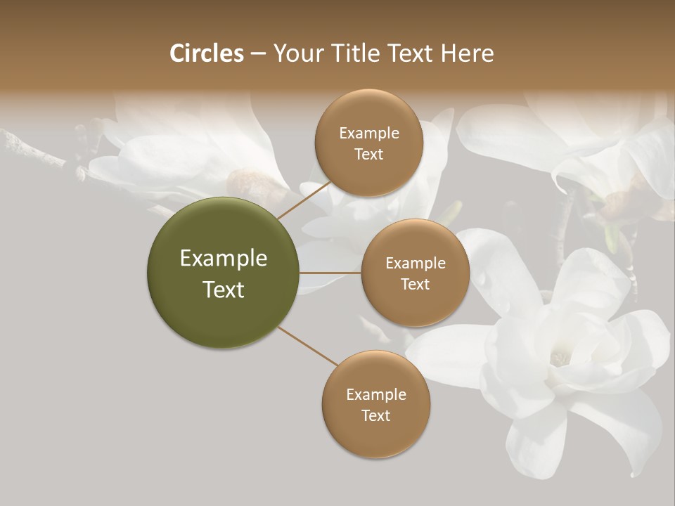 Closeup Photography Backgrounds PowerPoint Template