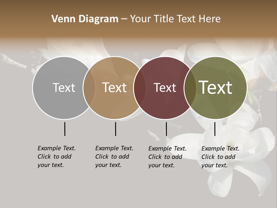 Closeup Photography Backgrounds PowerPoint Template