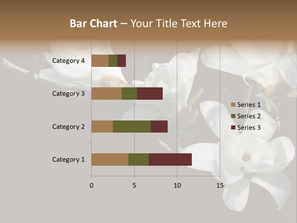 Closeup Photography Backgrounds PowerPoint Template
