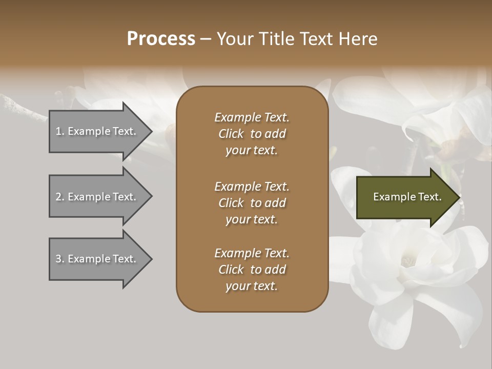 Closeup Photography Backgrounds PowerPoint Template