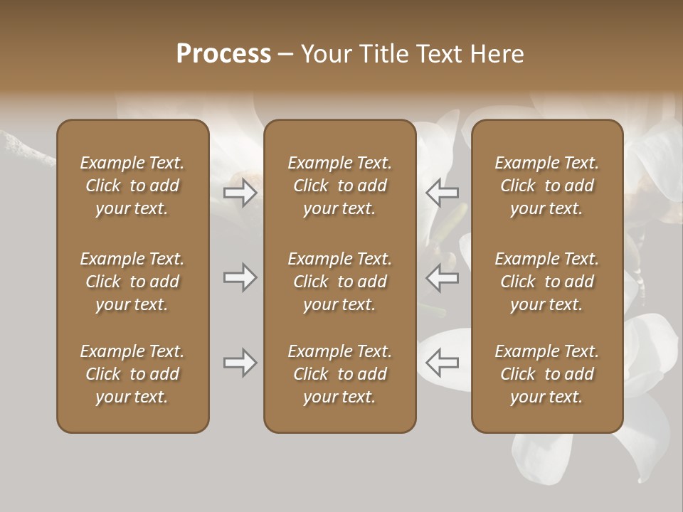 Closeup Photography Backgrounds PowerPoint Template