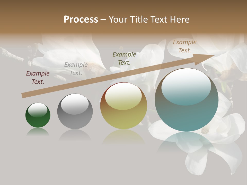 Closeup Photography Backgrounds PowerPoint Template