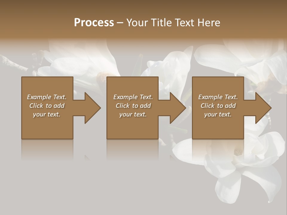 Closeup Photography Backgrounds PowerPoint Template