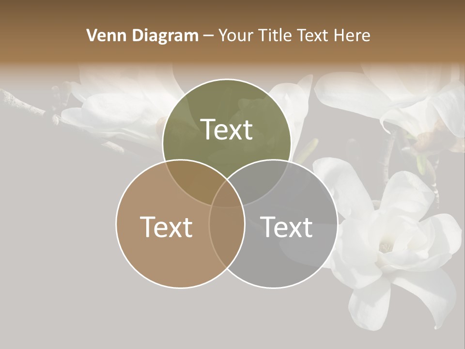 Closeup Photography Backgrounds PowerPoint Template