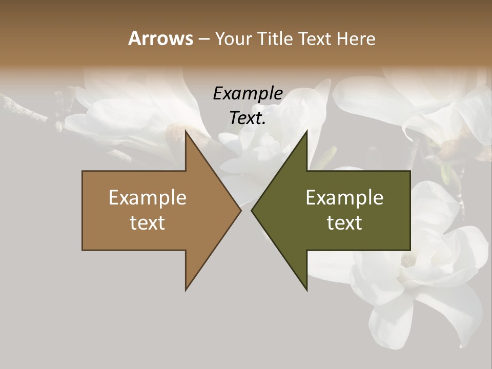 Closeup Photography Backgrounds PowerPoint Template