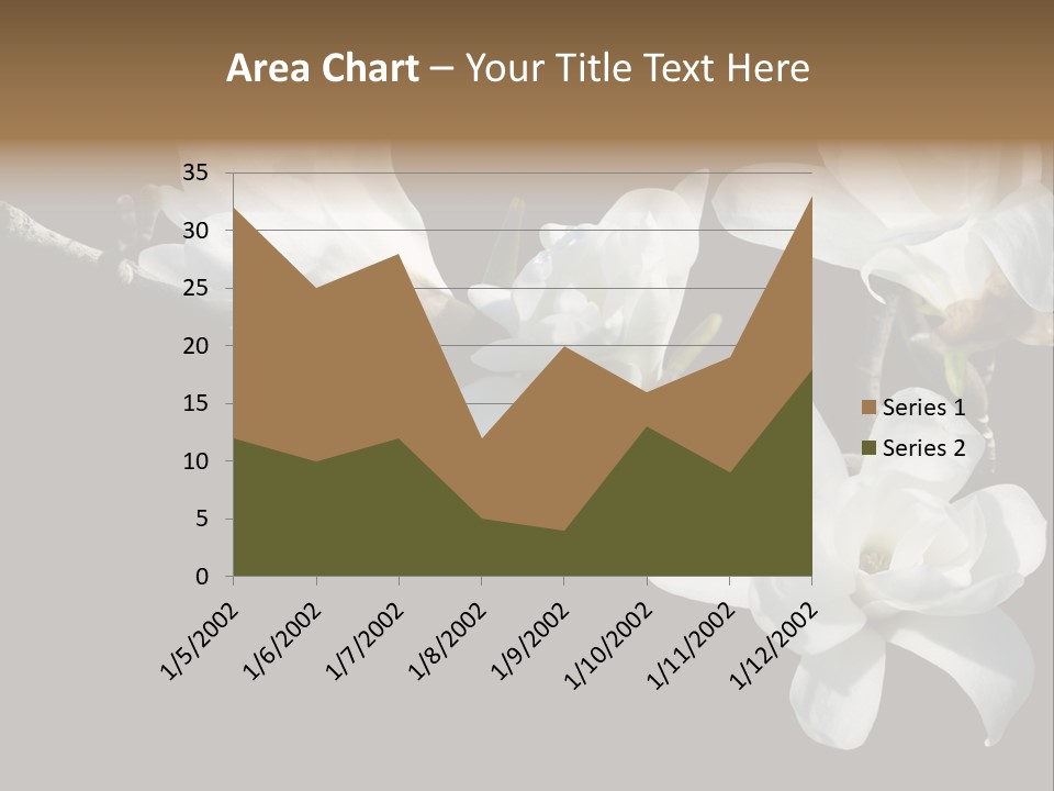 Closeup Photography Backgrounds PowerPoint Template