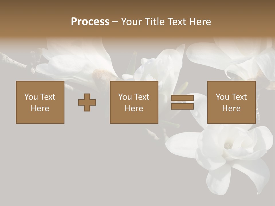 Closeup Photography Backgrounds PowerPoint Template