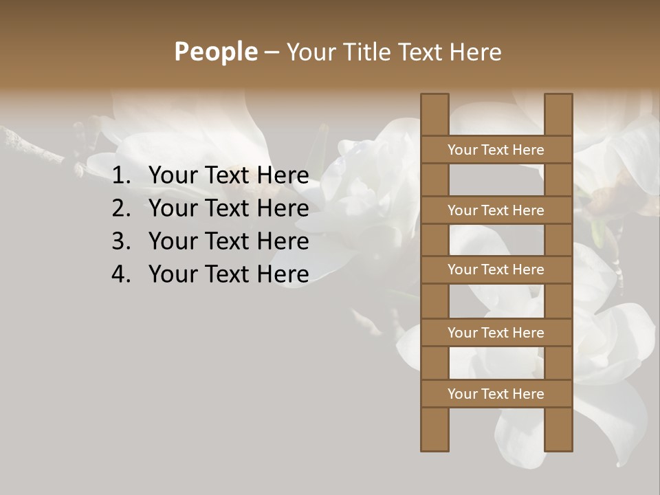 Closeup Photography Backgrounds PowerPoint Template