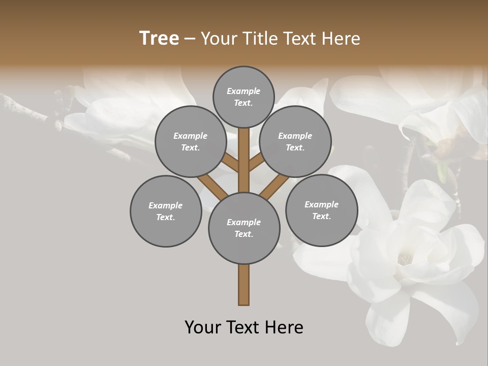 Closeup Photography Backgrounds PowerPoint Template