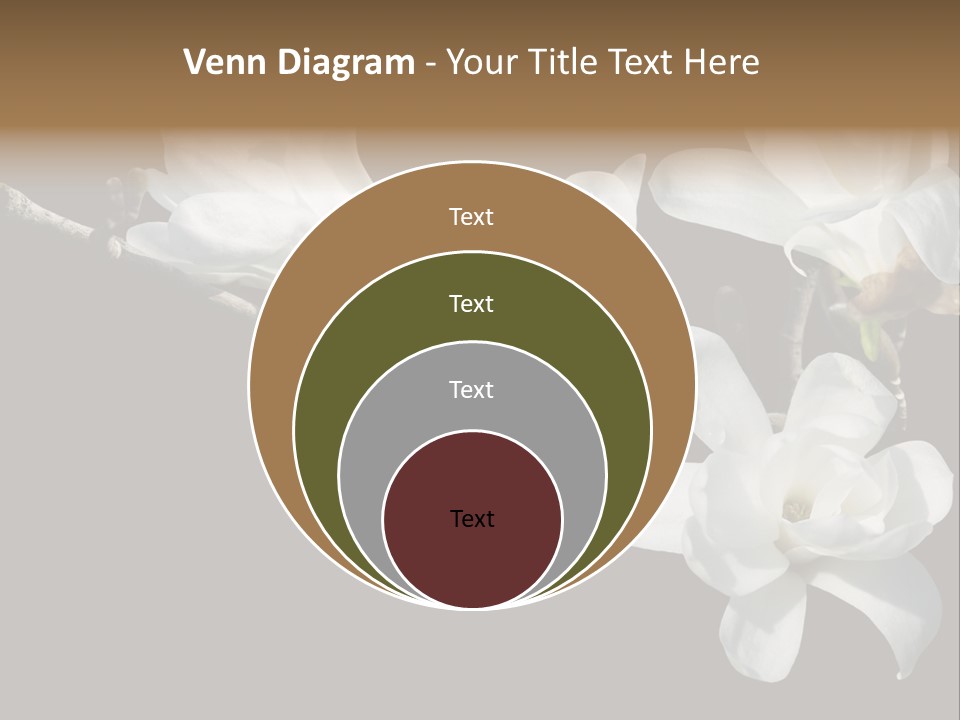 Closeup Photography Backgrounds PowerPoint Template