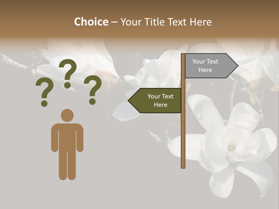 Closeup Photography Backgrounds PowerPoint Template