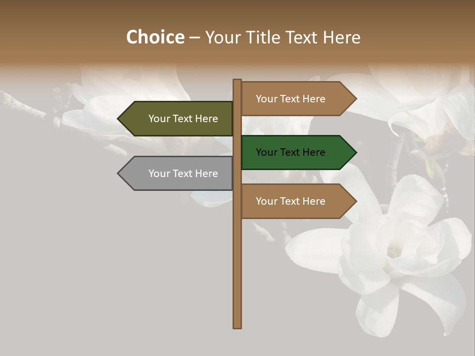 Closeup Photography Backgrounds PowerPoint Template