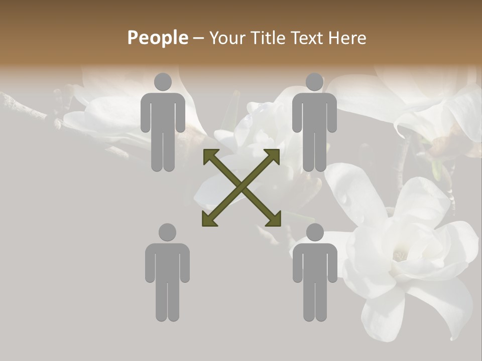 Closeup Photography Backgrounds PowerPoint Template