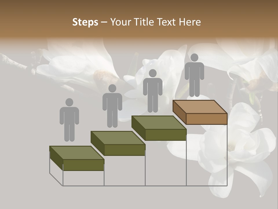 Closeup Photography Backgrounds PowerPoint Template