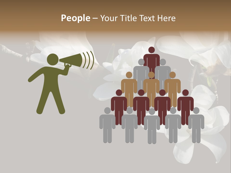 Closeup Photography Backgrounds PowerPoint Template