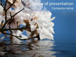 Green White Beauty PowerPoint Template