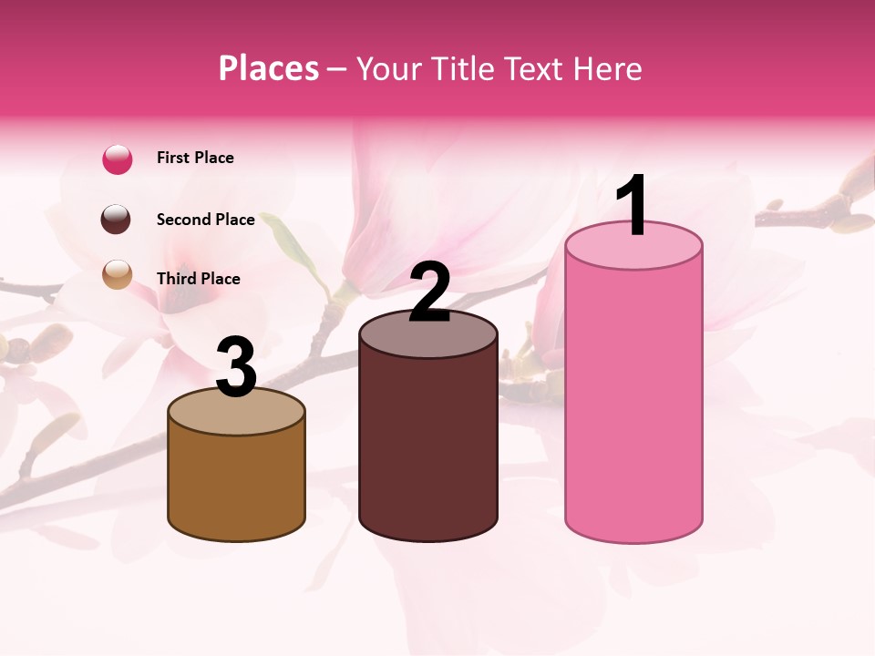 Pink Spring Flowers With Reflection PowerPoint Template