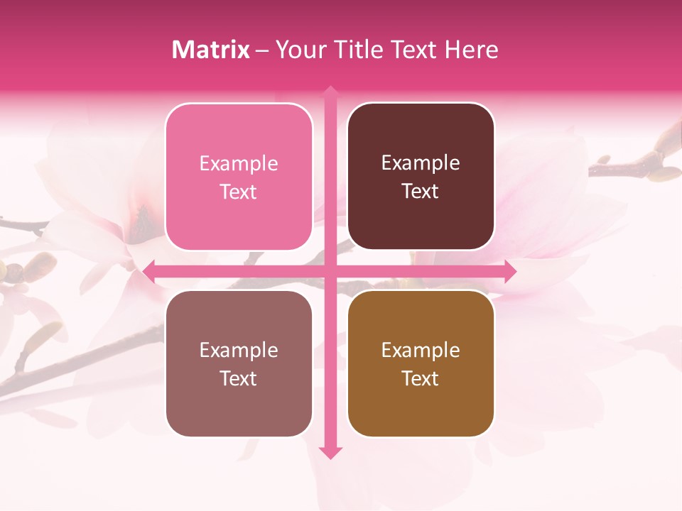 Pink Spring Flowers With Reflection PowerPoint Template