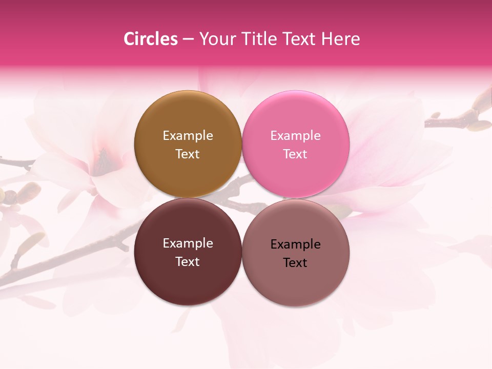 Pink Spring Flowers With Reflection PowerPoint Template