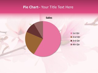 Pink Spring Flowers With Reflection PowerPoint Template