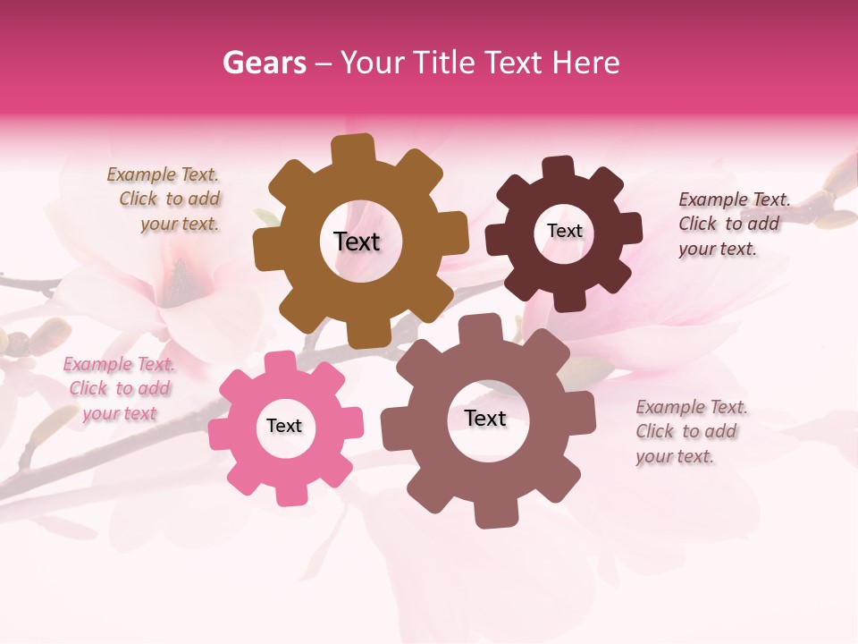 Pink Spring Flowers With Reflection PowerPoint Template