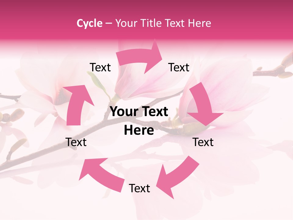 Pink Spring Flowers With Reflection PowerPoint Template