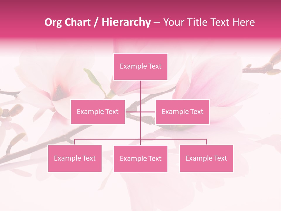 Pink Spring Flowers With Reflection PowerPoint Template