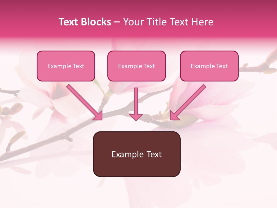 Pink Spring Flowers With Reflection PowerPoint Template