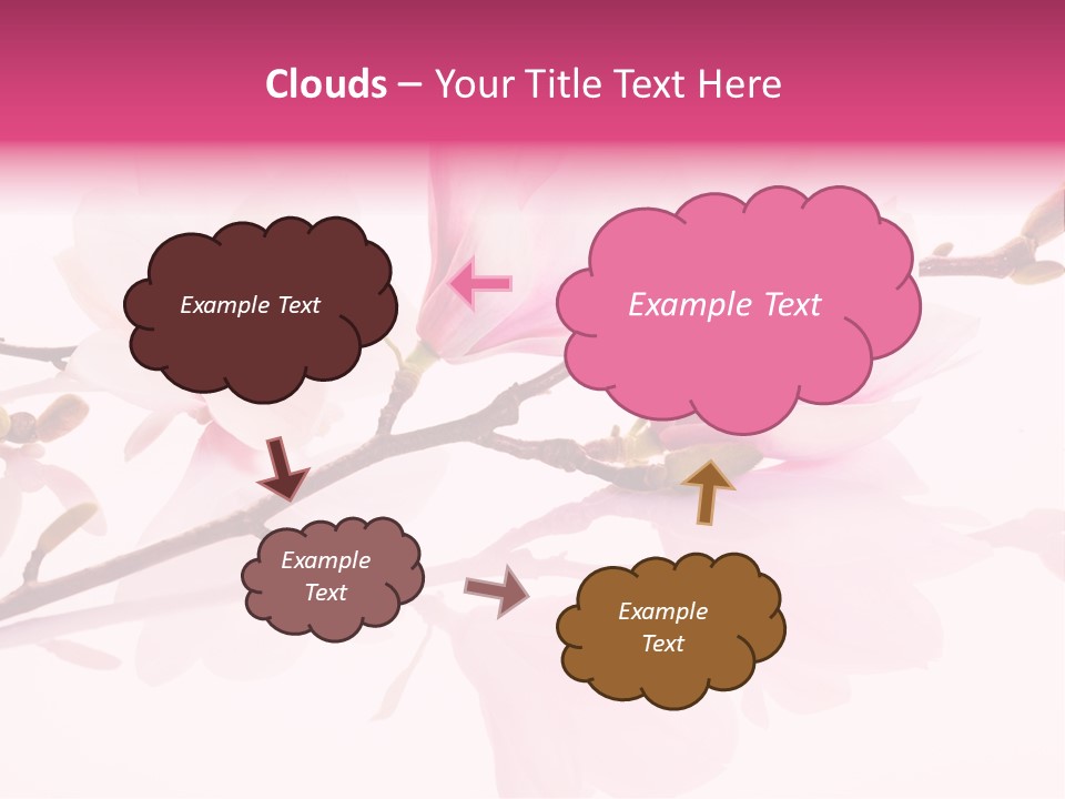 Pink Spring Flowers With Reflection PowerPoint Template