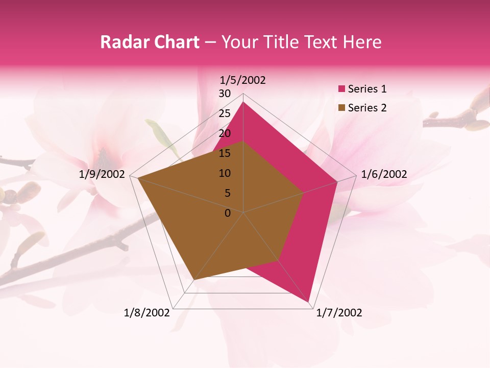 Pink Spring Flowers With Reflection PowerPoint Template