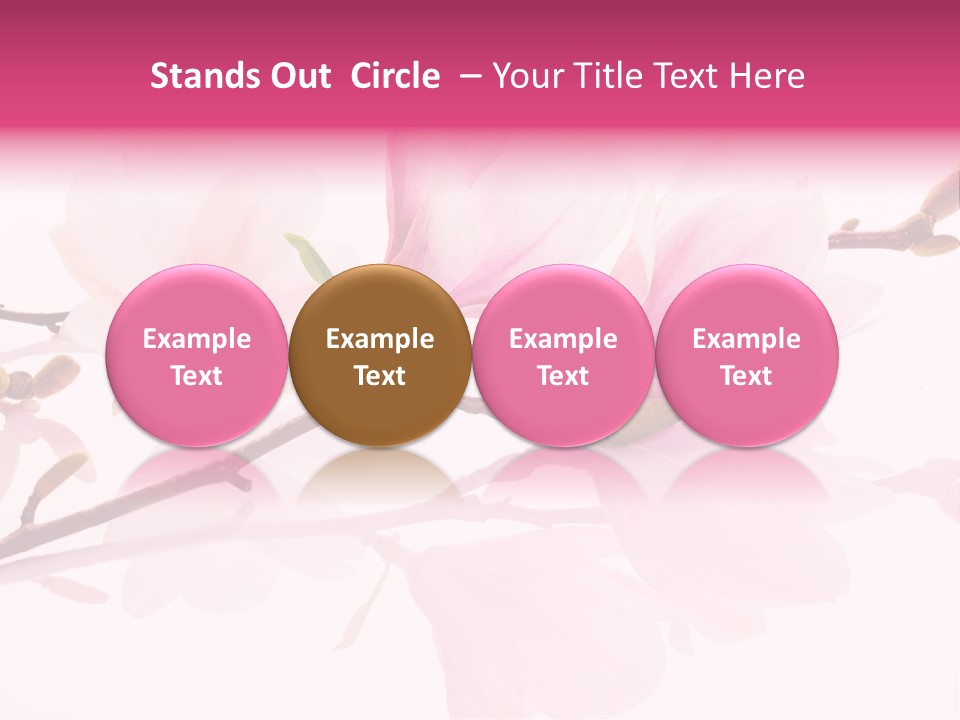Pink Spring Flowers With Reflection PowerPoint Template
