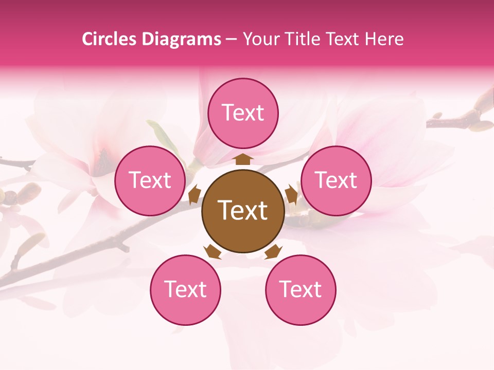 Pink Spring Flowers With Reflection PowerPoint Template
