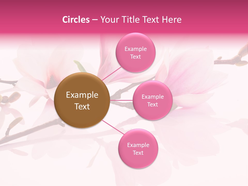 Pink Spring Flowers With Reflection PowerPoint Template
