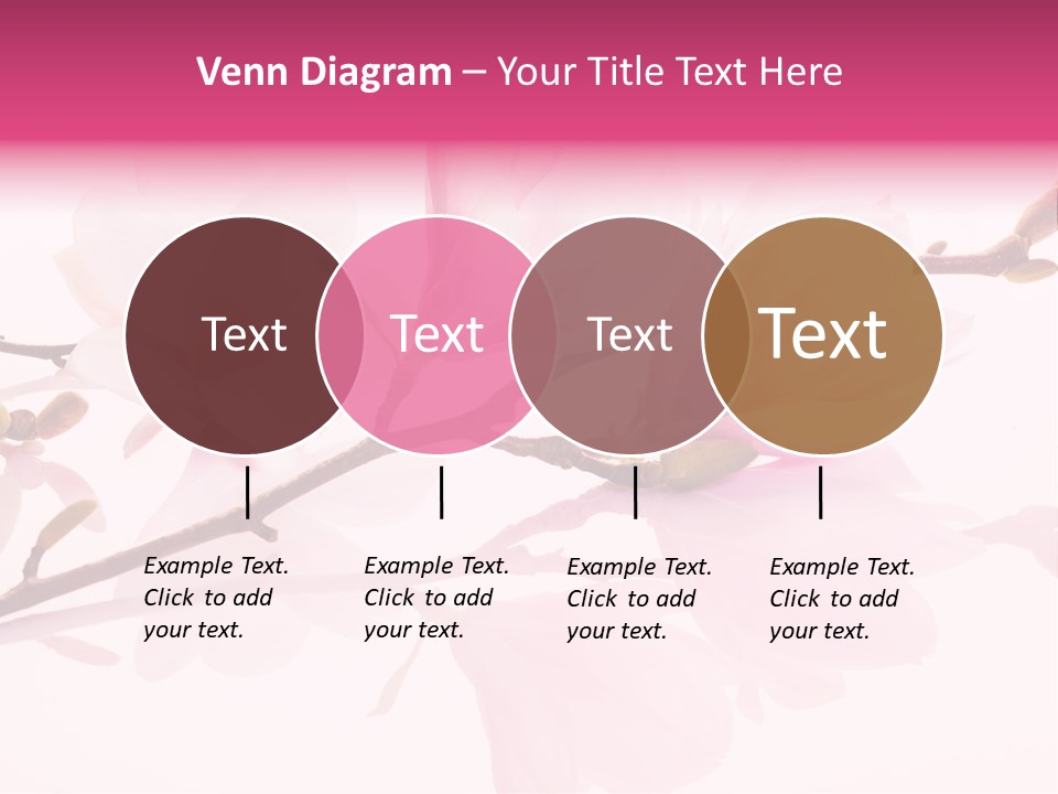 Pink Spring Flowers With Reflection PowerPoint Template