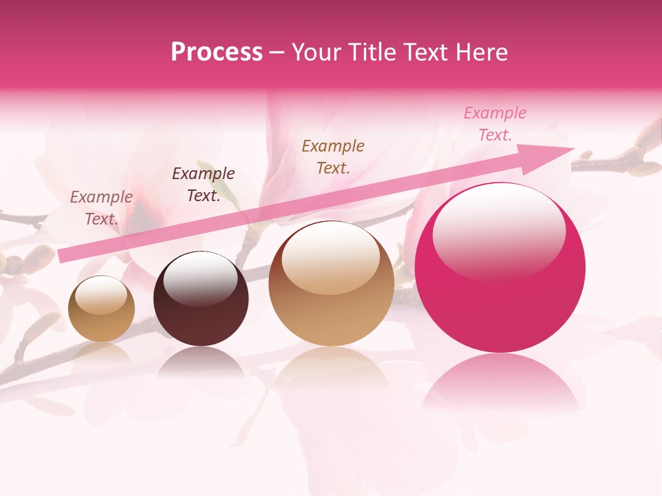 Pink Spring Flowers With Reflection PowerPoint Template