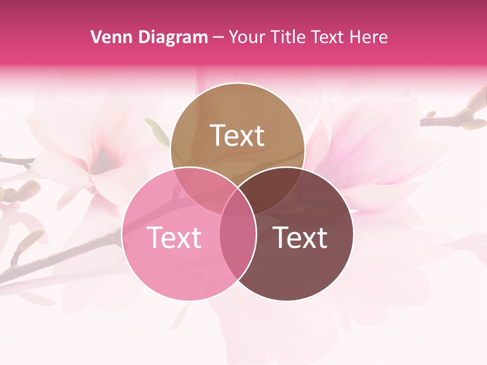 Pink Spring Flowers With Reflection PowerPoint Template