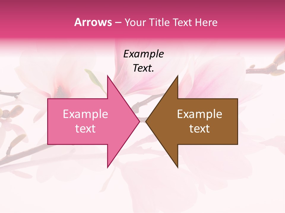 Pink Spring Flowers With Reflection PowerPoint Template