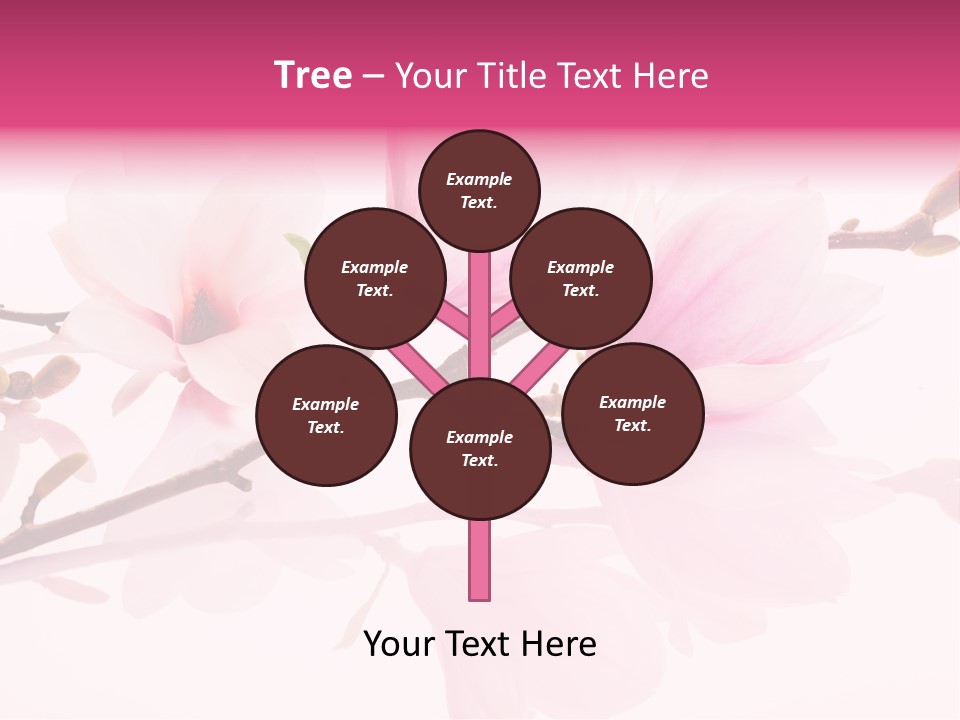 Pink Spring Flowers With Reflection PowerPoint Template
