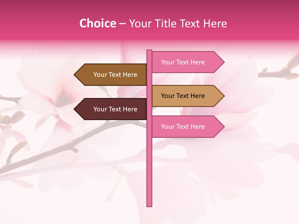 Pink Spring Flowers With Reflection PowerPoint Template