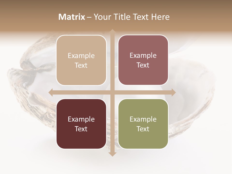 Rare Marine Opened PowerPoint Template