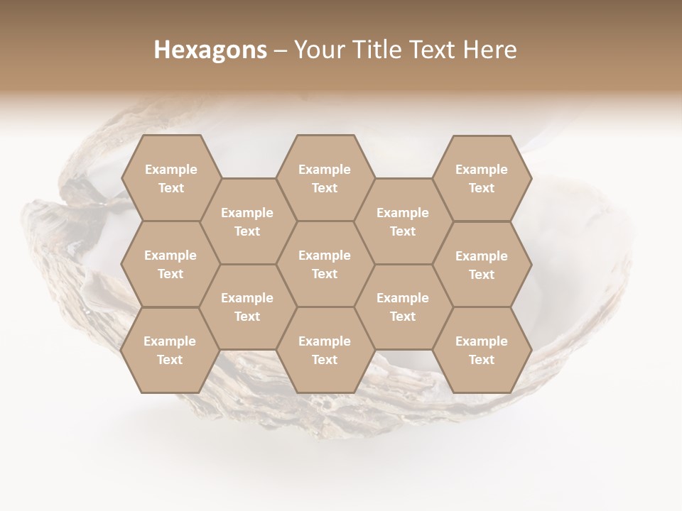 Rare Marine Opened PowerPoint Template