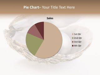 Rare Marine Opened PowerPoint Template