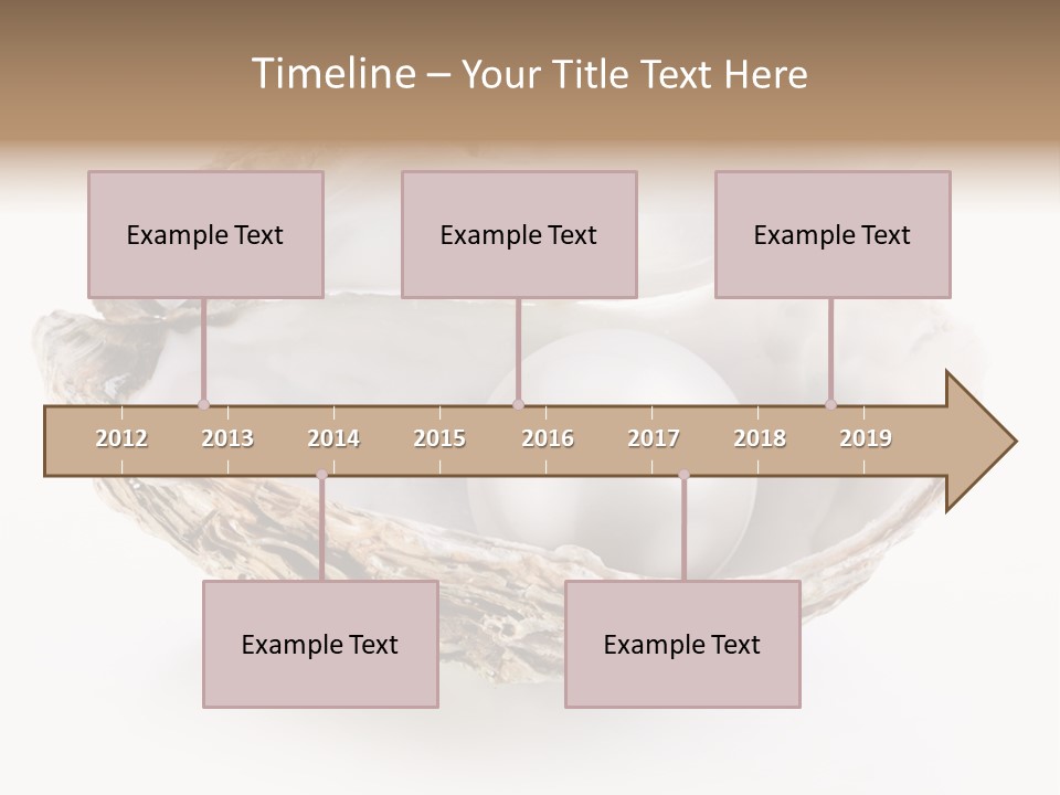 Rare Marine Opened PowerPoint Template
