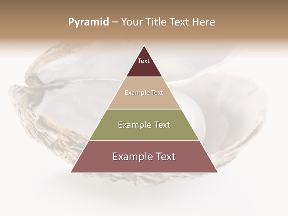 Rare Marine Opened PowerPoint Template