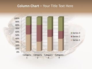 Rare Marine Opened PowerPoint Template